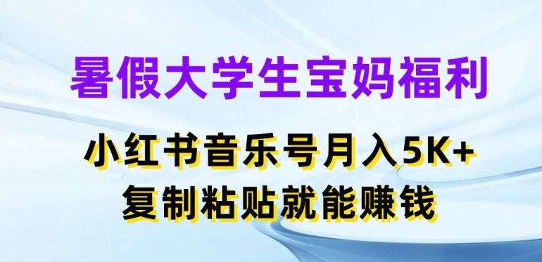 暑假大学生宝妈福利，小红书音乐号月入5000+，复制粘贴就能赚钱【揭秘】-3YVIP资源库