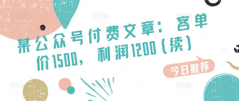 某公众号付费文章：客单价1500，利润1200(续)，市场几乎可以说是空白的-3YVIP资源库