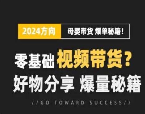短视频母婴赛道实操流量训练营，零基础视频带货，好物分享，爆量秘籍-3YVIP资源库