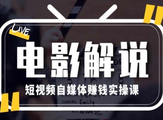 电影解说短视频自媒体赚钱实操课，教你做电影解说短视频，月赚1万-3YVIP资源库