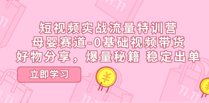 （11373期）短视频实战流量特训营，母婴赛道-0基础带货，好物分享，爆量秘籍 稳定出单-3YVIP资源库