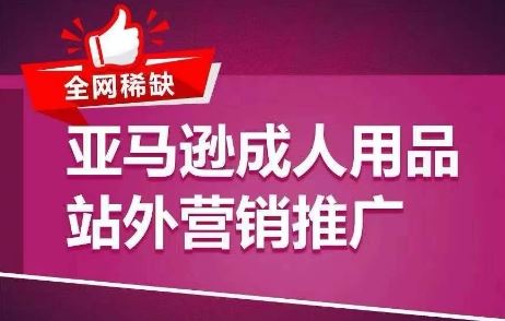全网稀缺！亚马逊成人用品站外营销推广，​教你引爆站外流量，开启爆单模式-3YVIP资源库
