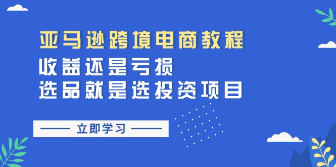 （11432期）亚马逊跨境电商教程：收益还是亏损！选品就是选投资项目-3YVIP资源库