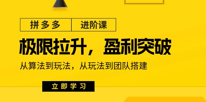 （11435期）拼多多·进阶课：极限拉升/盈利突破：从算法到玩法 从玩法到团队搭建-18节-3YVIP资源库