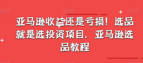 亚马逊收益还是亏损！选品就是选投资项目，亚马逊选品教程-3YVIP资源库