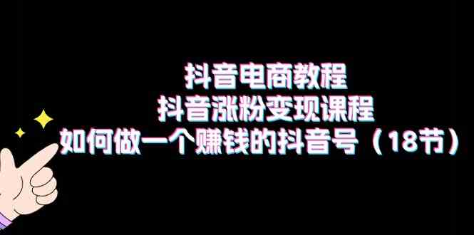 抖音电商教程：抖音涨粉变现课程：如何做一个赚钱的抖音号（18节）-3YVIP资源库
