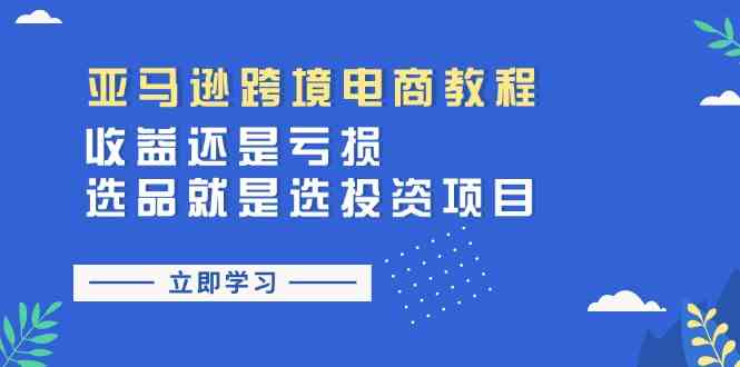 亚马逊跨境电商教程：收益还是亏损！选品就是选投资项目-3YVIP资源库