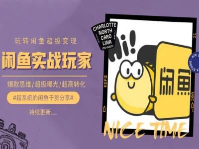 手把手教你0到1系统玩转闲鱼变现，爆款思维/超级曝光/超高转化-3YVIP资源库