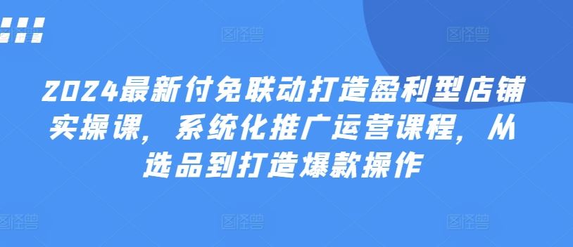 2024最新付免联动打造盈利型店铺实操课，​系统化推广运营课程，从选品到打造爆款操作-3YVIP资源库