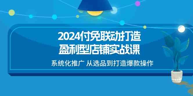 2024付免联动打造盈利型店铺实战课，系统化推广 从选品到打造爆款操作-3YVIP资源库