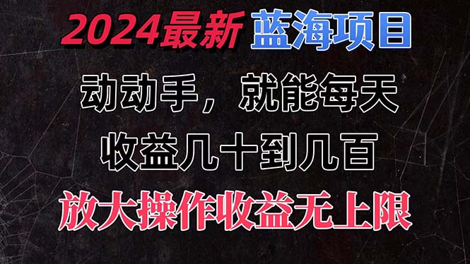 （11470期）有手就行的2024全新蓝海项目，每天1小时收益几十到几百，可放大操作收…-3YVIP资源库