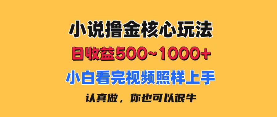 （11461期）小说撸金核心玩法，日收益500-1000+，小白看完照样上手，0成本有手就行-3YVIP资源库