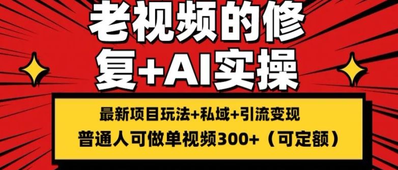 修复老视频的玩法，搬砖+引流的变现(可持久)，单条收益300+【揭秘】-3YVIP资源库