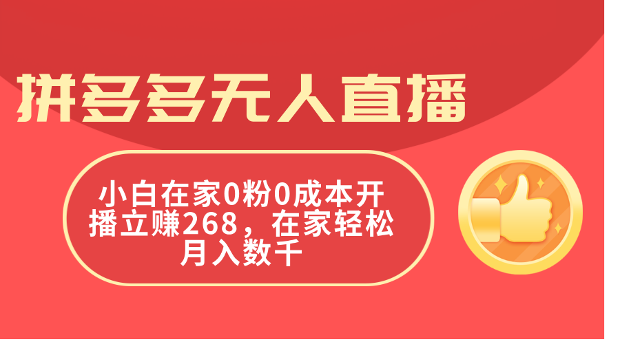 （11521期）拼多多无人直播，小白在家0粉0成本开播立赚268，在家轻松月入数千-3YVIP资源库