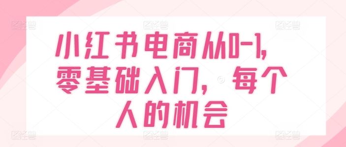 小红书电商从0-1，零基础入门，每个人的机会-3YVIP资源库
