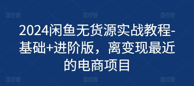 2024闲鱼无货源实战教程-基础+进阶版，离变现最近的电商项目-3YVIP资源库