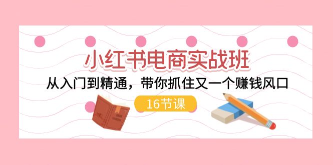 （11533期）小红书电商实战班，从入门到精通，带你抓住又一个赚钱风口（16节）-3YVIP资源库