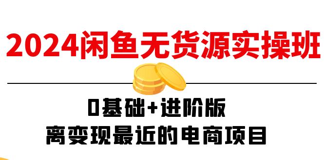 （11535期）2024闲鱼-无货源实操班：0基础+进阶版，离变现最近的电商项目（15节）-3YVIP资源库