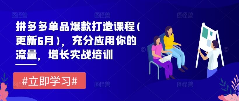 拼多多单品爆款打造课程(更新6月)，充分应用你的流量，增长实战培训-3YVIP资源库