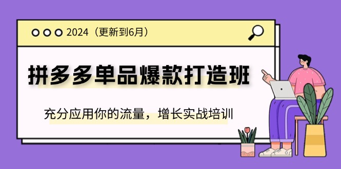 （11556期）2024拼多多-单品爆款打造班(更新6月)，充分应用你的流量，增长实战培训-3YVIP资源库