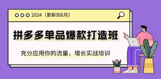 2024拼多多单品爆款打造班，充分应用你的流量，增长实战培训(更新6月)-3YVIP资源库