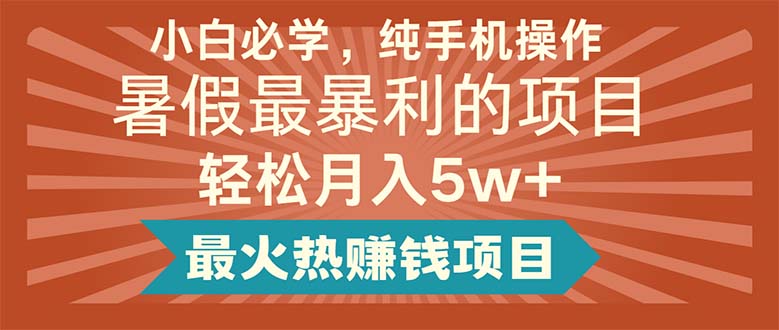 （11583期）小白必学，纯手机操作，暑假最暴利的项目轻松月入5w+最火热赚钱项目-3YVIP资源库