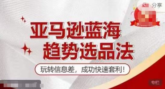 【训练营】亚马逊蓝海趋势选品法，玩转信息差，成功快速套利-3YVIP资源库