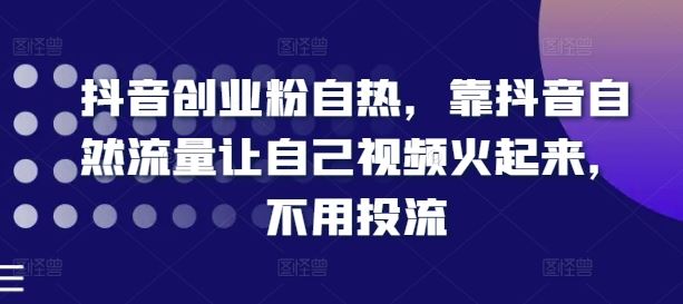 抖音创业粉自热，靠抖音自然流量让自己视频火起来，不用投流-3YVIP资源库