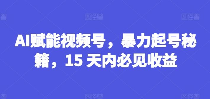 AI赋能视频号，暴力起号秘籍，15 天内必见收益【揭秘】-3YVIP资源库