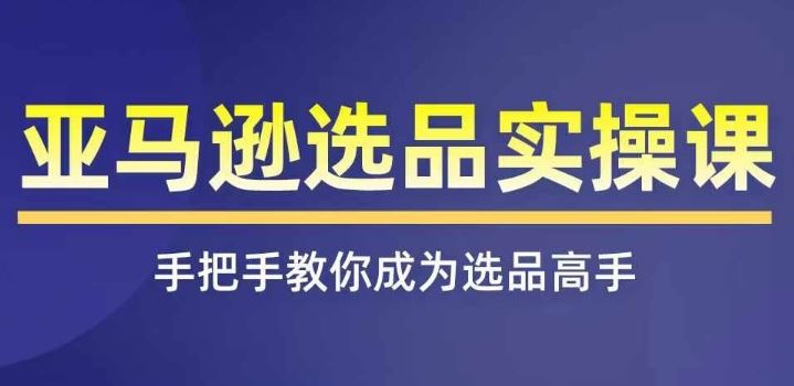 亚马逊选品实操课程，快速掌握亚马逊选品的技巧，覆盖亚马逊选品所有渠道-3YVIP资源库