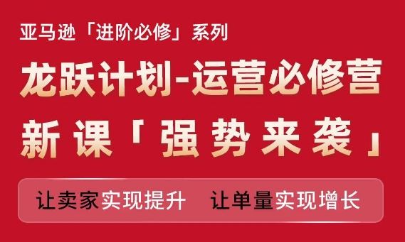 亚马逊进阶必修系列，龙跃计划-运营必修营新课，让卖家实现提升 让单量实现增长-3YVIP资源库