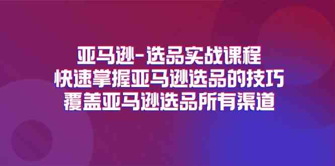 亚马逊选品实战课程，快速掌握亚马逊选品的技巧，覆盖亚马逊选品所有渠道-3YVIP资源库