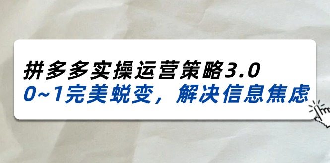 （11658期）2024_2025拼多多实操运营策略3.0，0~1完美蜕变，解决信息焦虑（38节）-3YVIP资源库