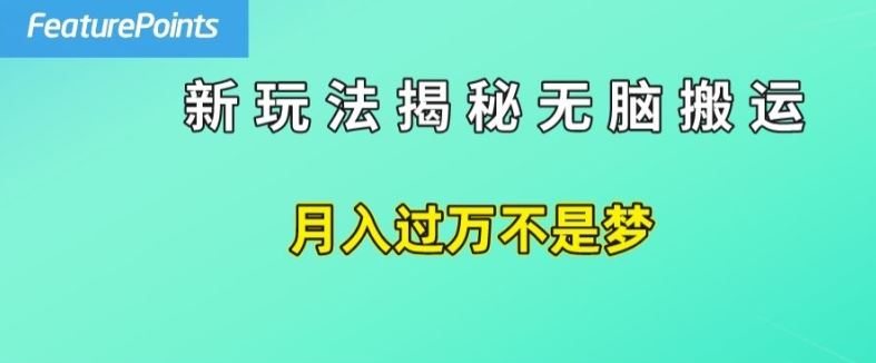 简单操作，每天50美元收入，搬运就是赚钱的秘诀【揭秘】-3YVIP资源库
