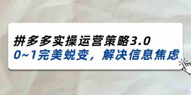 2024-2025拼多多实操运营策略3.0，0~1完美蜕变，解决信息焦虑（38节）-3YVIP资源库