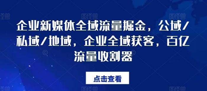 企业新媒体全域流量掘金，公域/私域/地域，企业全域获客，百亿流量收割器-3YVIP资源库