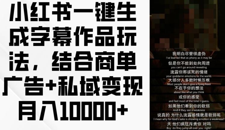 小红书一键生成字幕作品玩法，结合商单广告+私域变现月入1w+【揭秘】-3YVIP资源库