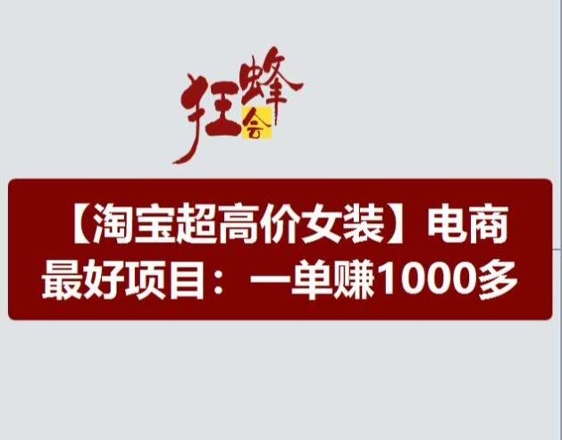 淘宝超高价女装项目，电商最好赛道，一单赚1000多-3YVIP资源库