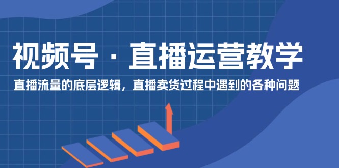 视频号直播运营教学：直播流量的底层逻辑，直播卖货过程中遇到的各种问题-3YVIP资源库