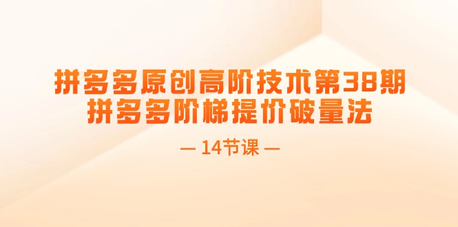 （11704期）拼多多原创高阶技术第38期，拼多多阶梯提价破量法（14节课）-3YVIP资源库
