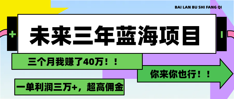 （11716期）未来三年，蓝海赛道，月入3万+-3YVIP资源库
