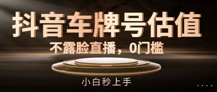 抖音车牌号估值，不露脸直播，0门槛，小白秒上手【揭秘】-3YVIP资源库