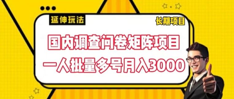 国内调查问卷矩阵项目，一人批量多号月入3000【揭秘】-3YVIP资源库