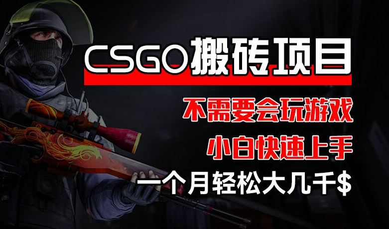 CSGO 装备搬砖项目，操作简单，不需要会玩游戏，小白也能快速上手，一个月轻松大几千【揭秘】-3YVIP资源库