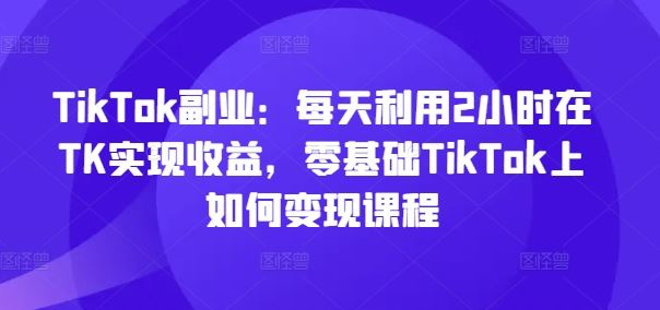 TikTok副业：每天利用2小时在TK实现收益，零基础TikTok上如何变现课程-3YVIP资源库
