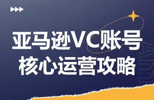 亚马逊VC账号核心玩法解析，实战经验拆解产品模块运营技巧，提升店铺GMV，有效提升运营利润-3YVIP资源库