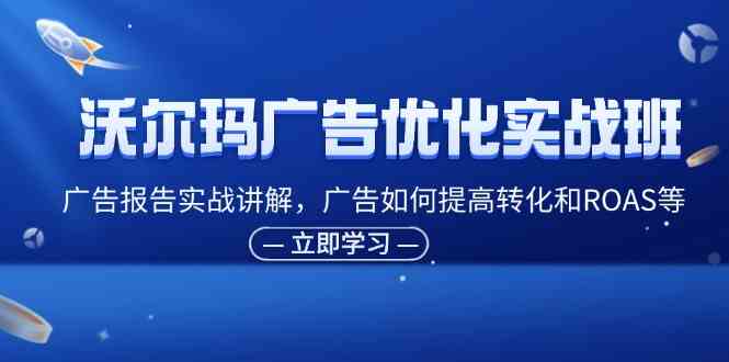 沃尔玛广告优化实战班，广告报告实战讲解，广告如何提高转化和ROAS等-3YVIP资源库
