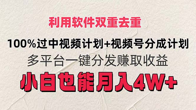 （11862期）利用软件双重去重，100%过中视频+视频号分成计划小白也可以月入4W+-3YVIP资源库