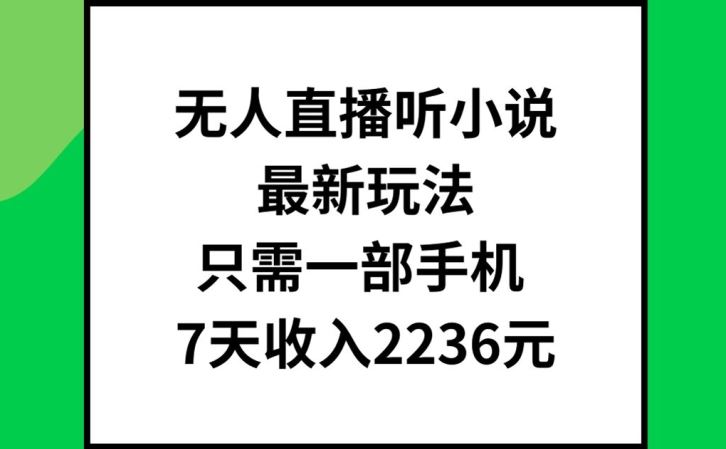 无人直播听小说最新玩法，只需一部手机，7天收入2236元【揭秘】-3YVIP资源库