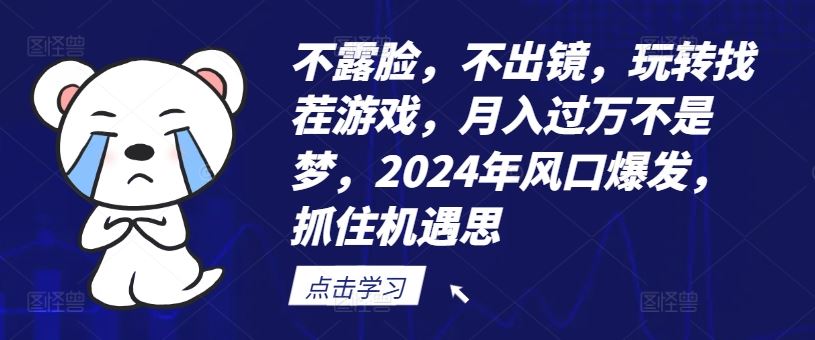不露脸，不出镜，玩转找茬游戏，月入过万不是梦，2024年风口爆发，抓住机遇【揭秘】-3YVIP资源库